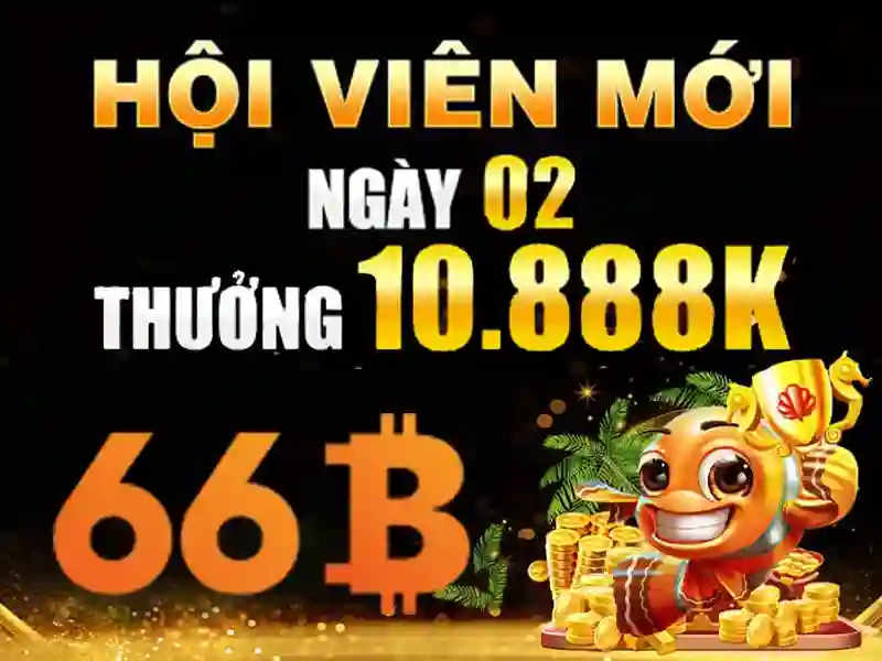 nhập code 66b: hành trình trải nghiệm và khuyến mãi
