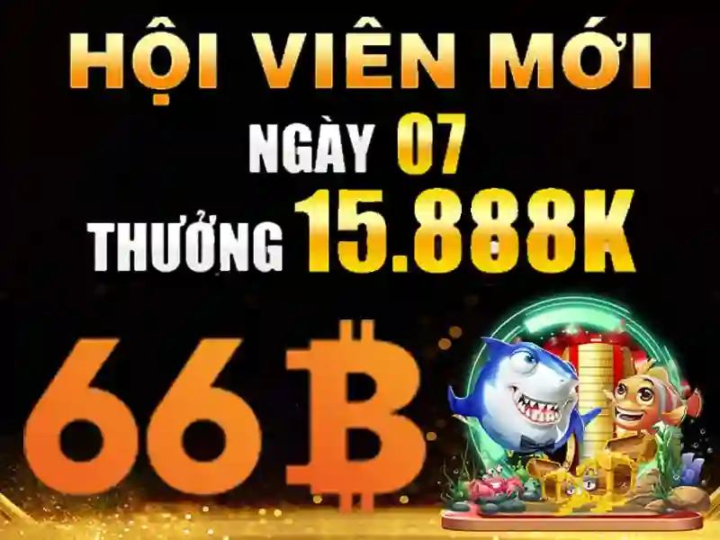 66b — một khởi nguồn của sự tò mò