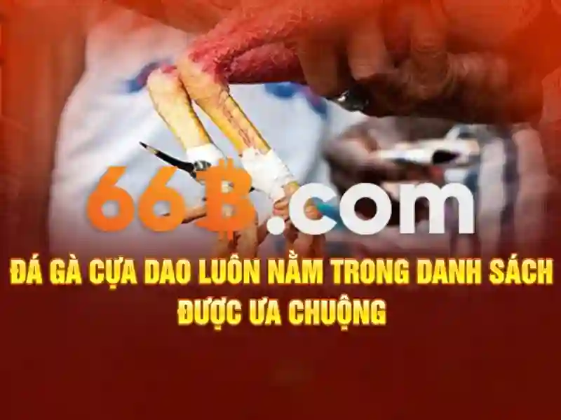 Các sản phẩm và dịch vụ chính của rút thưởng 66b