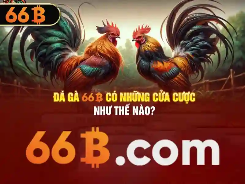 66b nguyễn sỹ sách p15 – Sản phẩm và dịch vụ cốt lõi