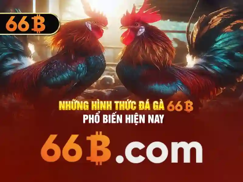 stevens 66b - Giải pháp tiên phong công nghệ