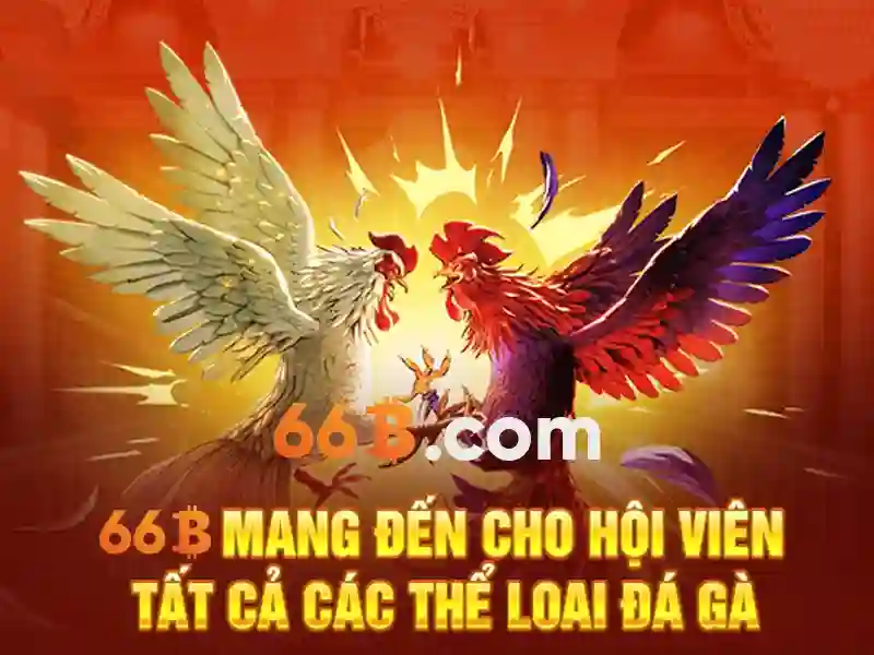 Giao diện trang chủ nhà cái 66b đẳng cấp và hiện đại