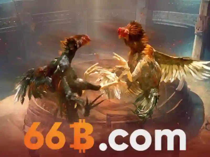 uu-dien-van-coi-canh-tranh-66b