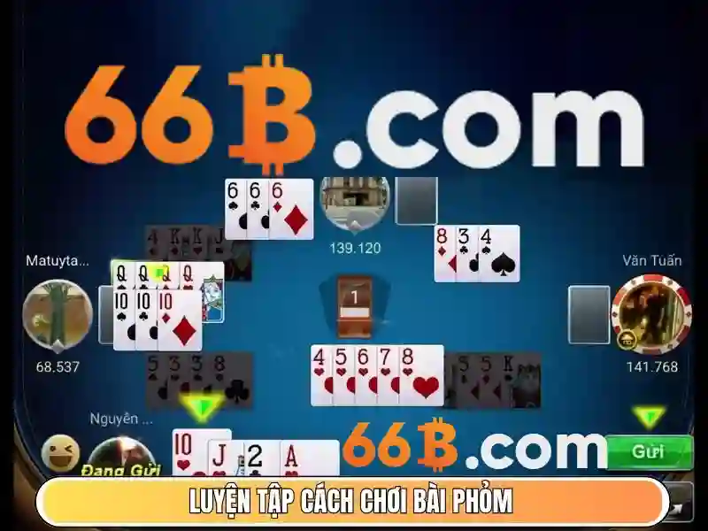 Trải nghiệm người dùng và phản hồi cộng đồng