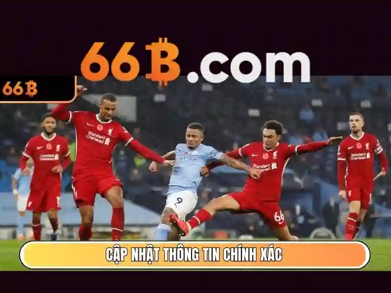 Tong quan giao dien trang chu nha cai 66b va cac chuyen muc ho tro khach hang