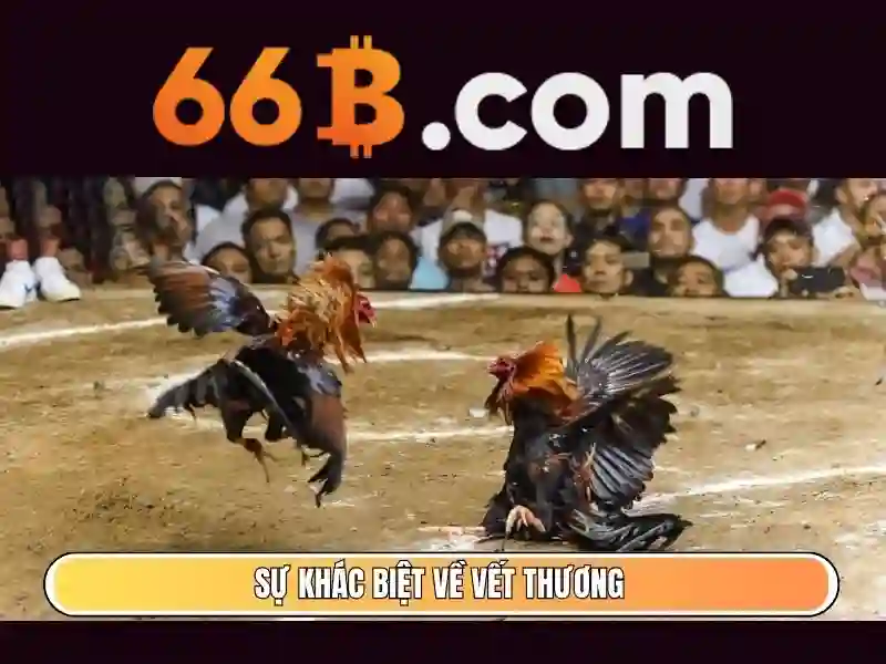 He thong bao mat du lieu va chung chi an toan mang cua nha cai 66b