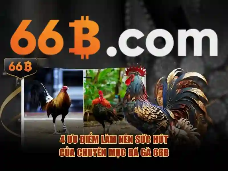 tong quan dieu khoan su dung 66b