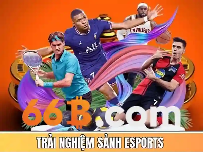 ứng dụng 66b - Cách tiếp cận và lợi ích cho doanh nghiệp