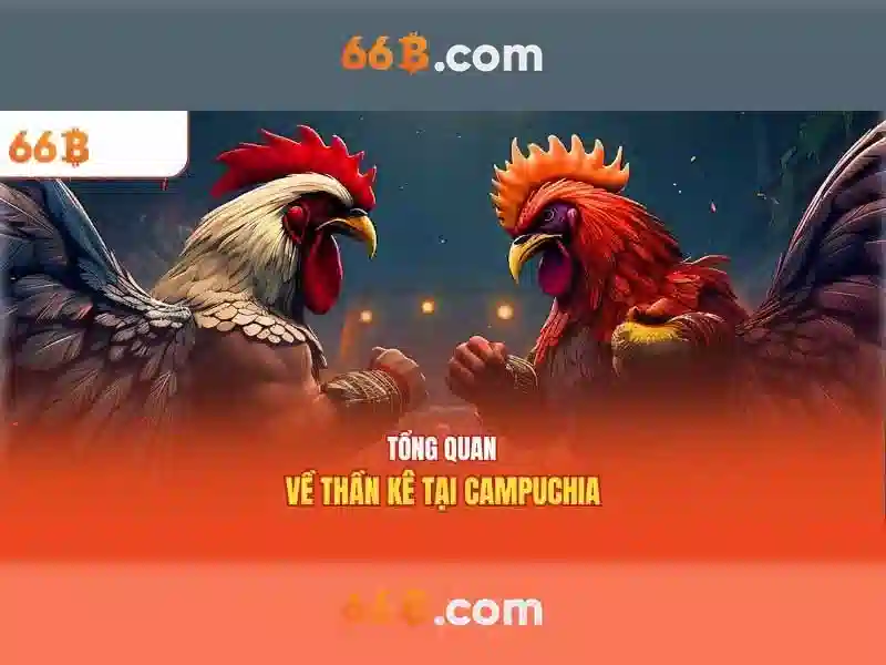 Ứng dụng thực tế của 66b