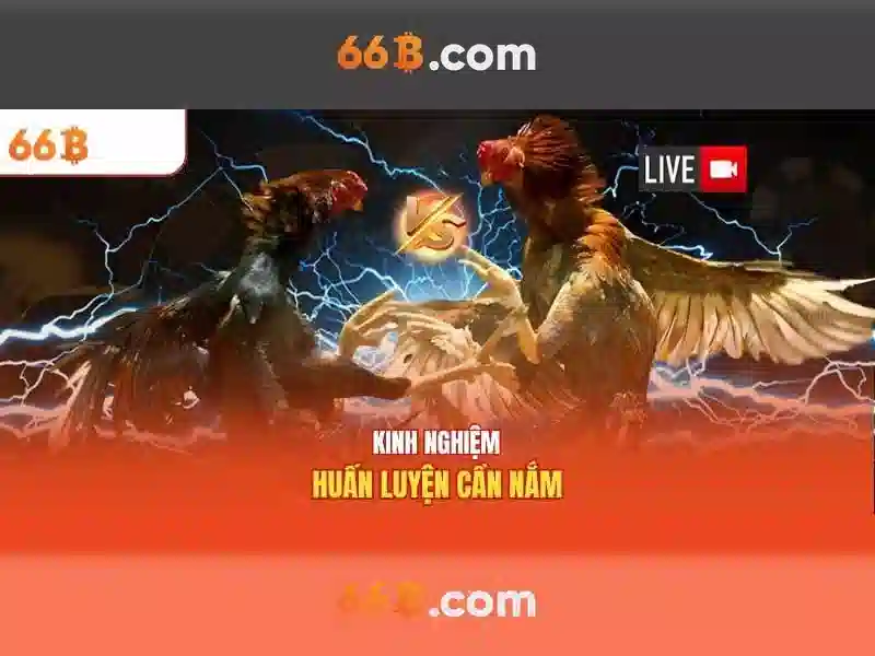 Ứng dụng tiềm năng