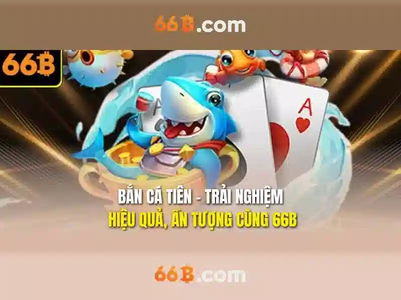 66b là gì? và vai trò trong công nghệ