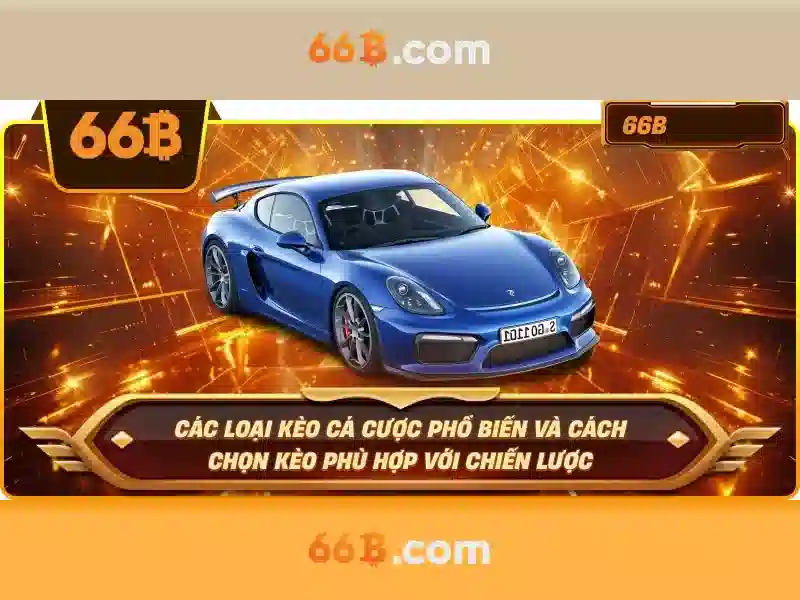 66b và ý tưởng phía sau