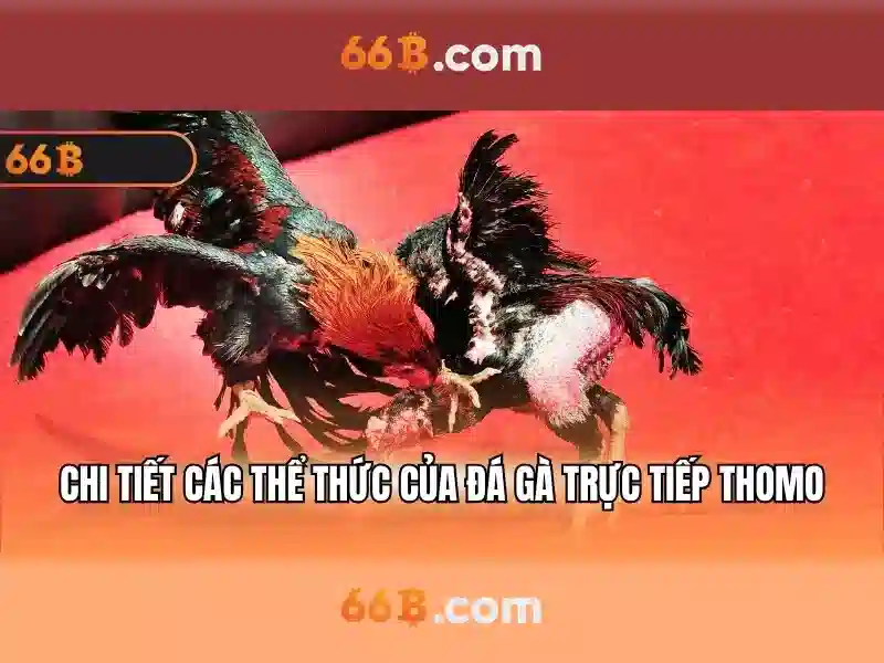 Hiệu suất và ứng dụng