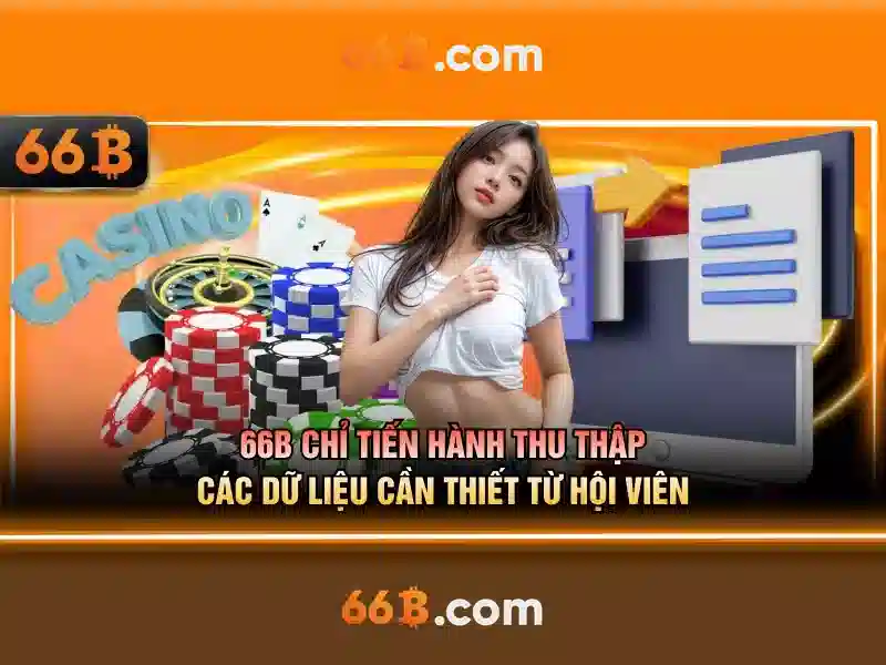 sources shein 66b may – Tổng quan chủ đề và giá trị cốt lõi