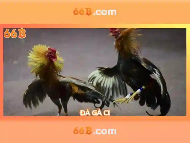 66b la ten cua mot cong nghe moi