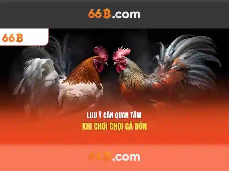 Cach 66B hoat dong