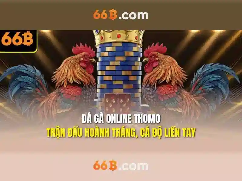 Giới thiệu về 66b
