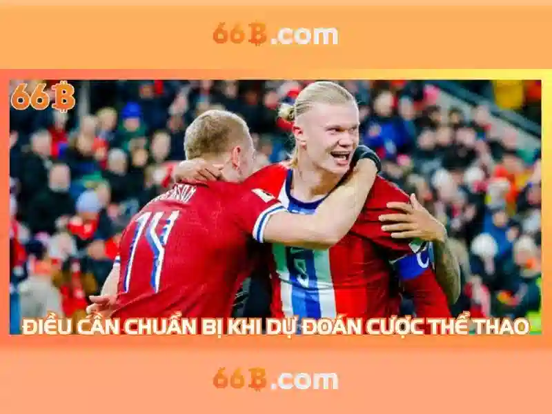 66b chính thức – Tổng quan, giá trị và hành trình phát triển