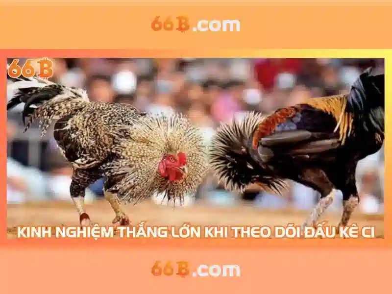 66b: một mô hình ngôn ngữ 66 tỷ tham số