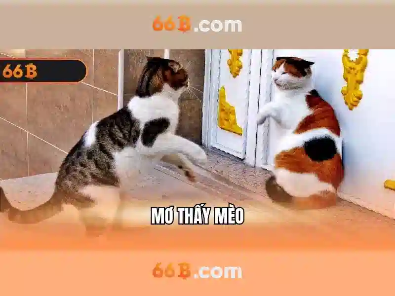 Sản phẩm và dịch vụ cốt lõi: ứng dụng cd 66b flow cytometry