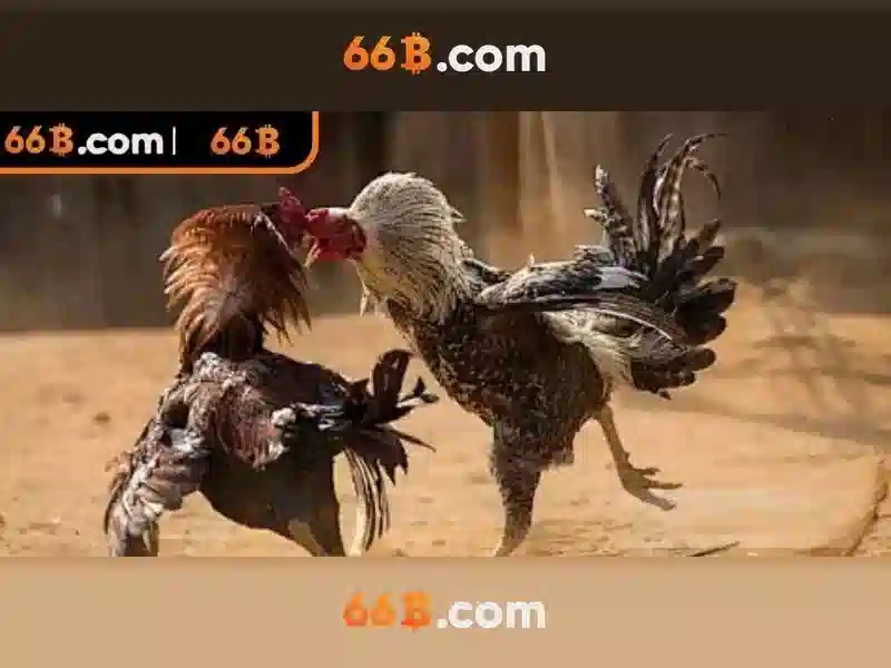 Thách thức và lưu ý khi sử dụng