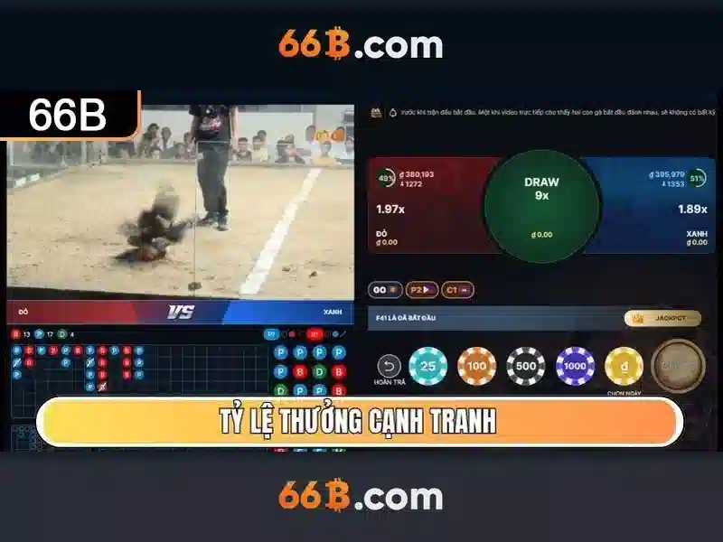 Giới thiệu về 66B