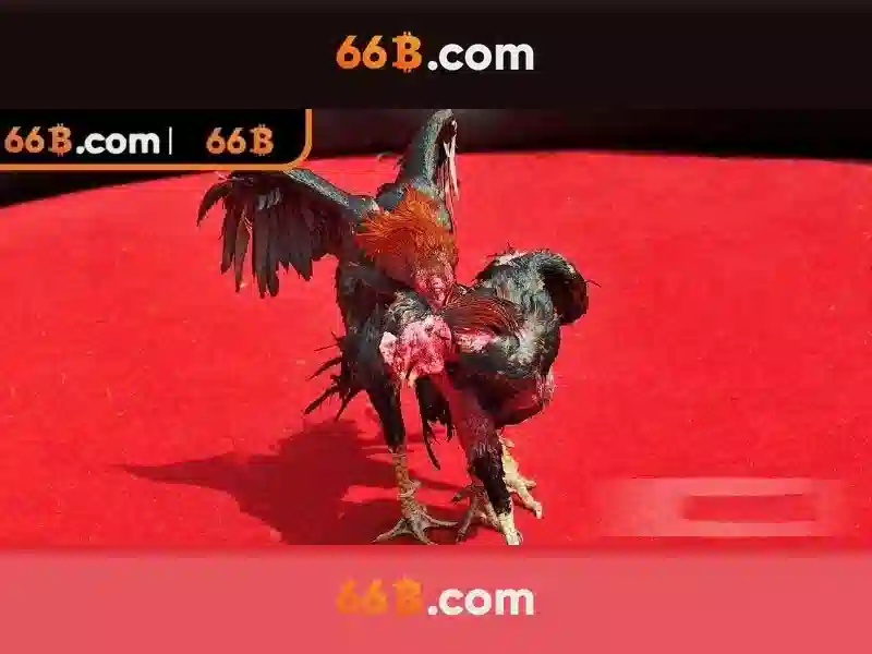 66b: phân tích và ứng dụng