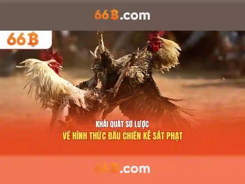 Kiến trúc và tham số