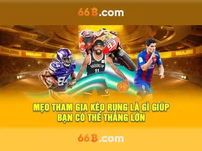 66b là gì?