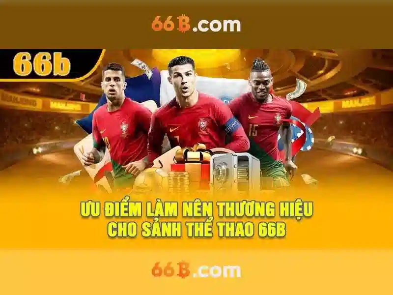 Ưu thế và năng lực cạnh tranh 66b quang trung hải dương