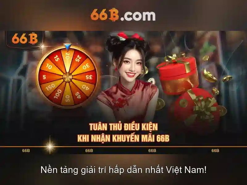 66B: Khái niệm, chức năng và tác động
