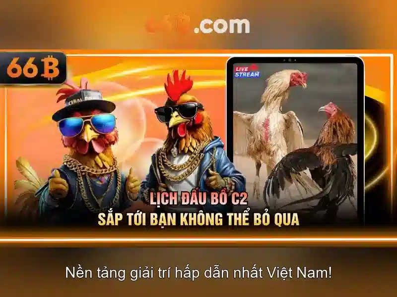 Về 66b: Lược sử và những ảnh hưởng