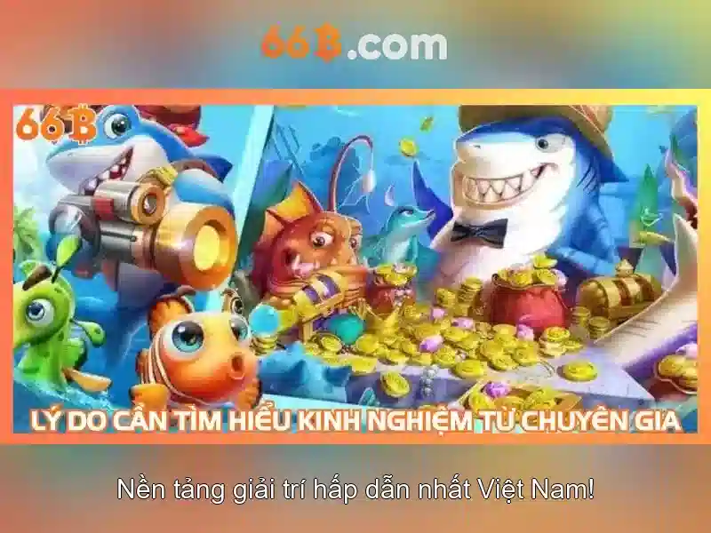 Định hướng phát triển và tương lai