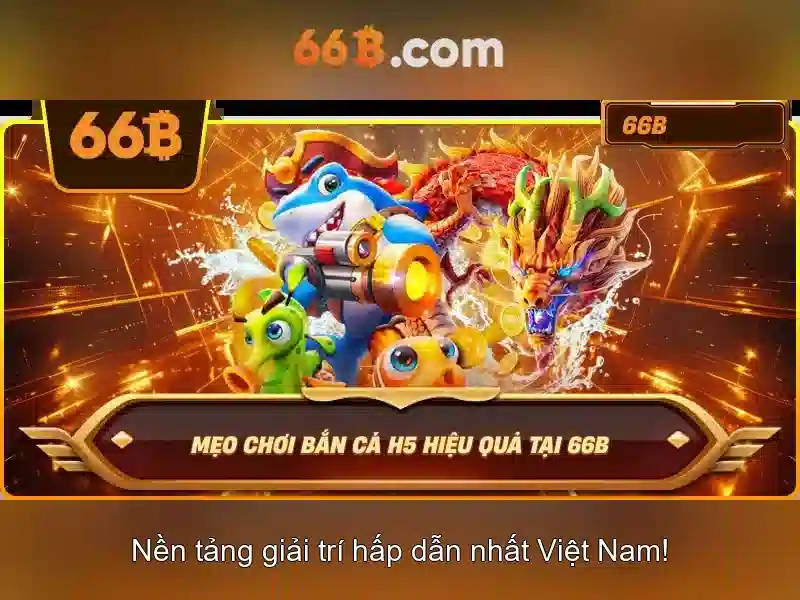 66B: Khái niệm và lịch sử