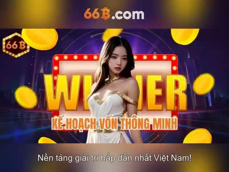 66b là gì? Khái niệm và ứng dụng