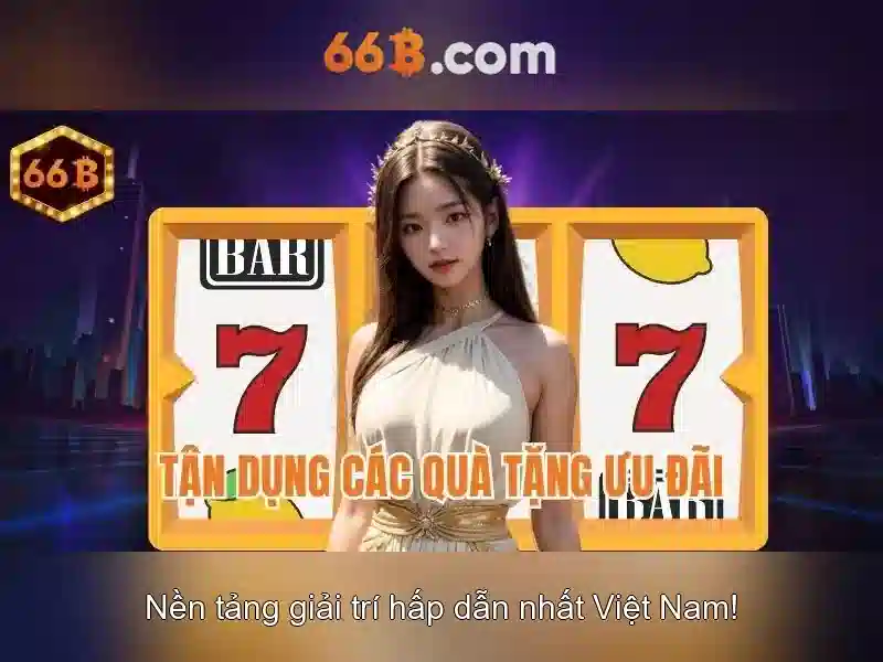 66B là gì?