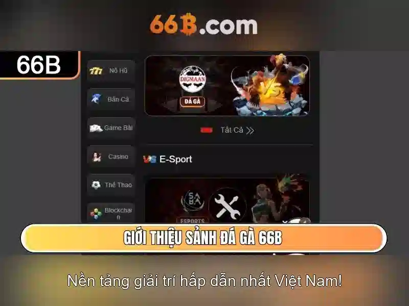Khả năng và ứng dụng của 66B