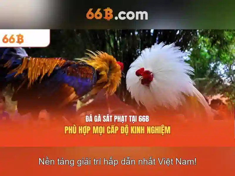 Cài đặt và ví dụ thực tế