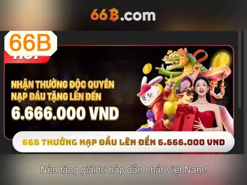 66B là gì?