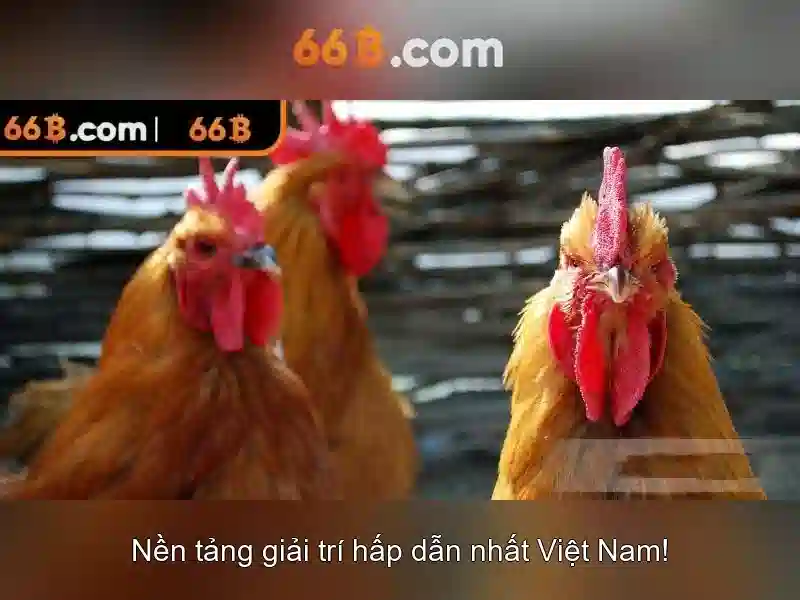 Tiềm năng tương lai và nhận thức xã hội