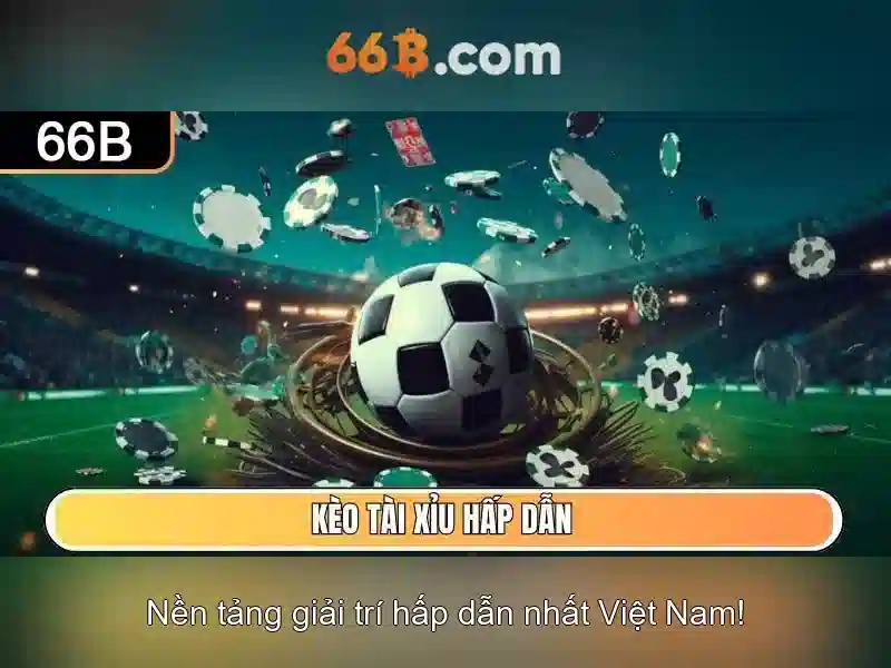 66B là gì?