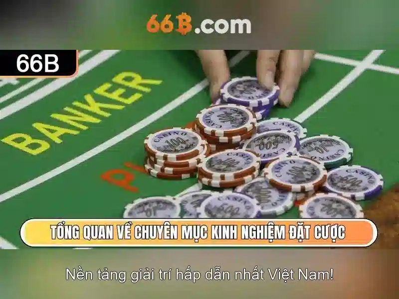 Cấu trúc và tham số của 66B