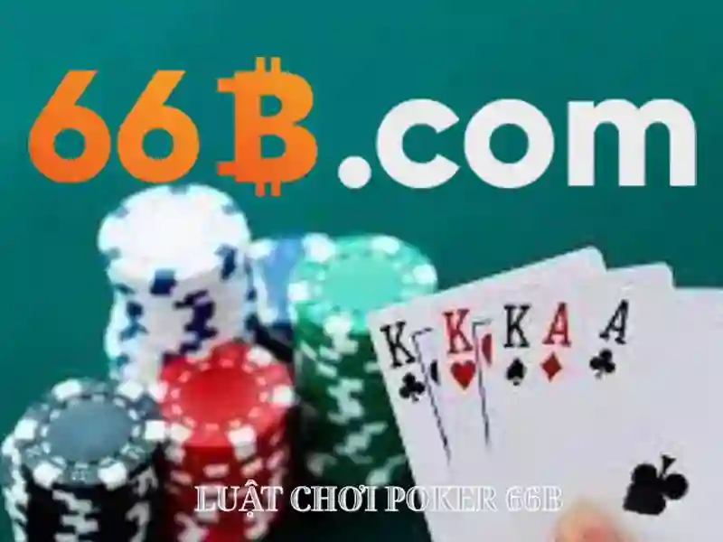 'Rủi ro và lưu ý khi sử dụng'<h>Rủi ro và lưu ý khi sử dụng</h><p><span style=