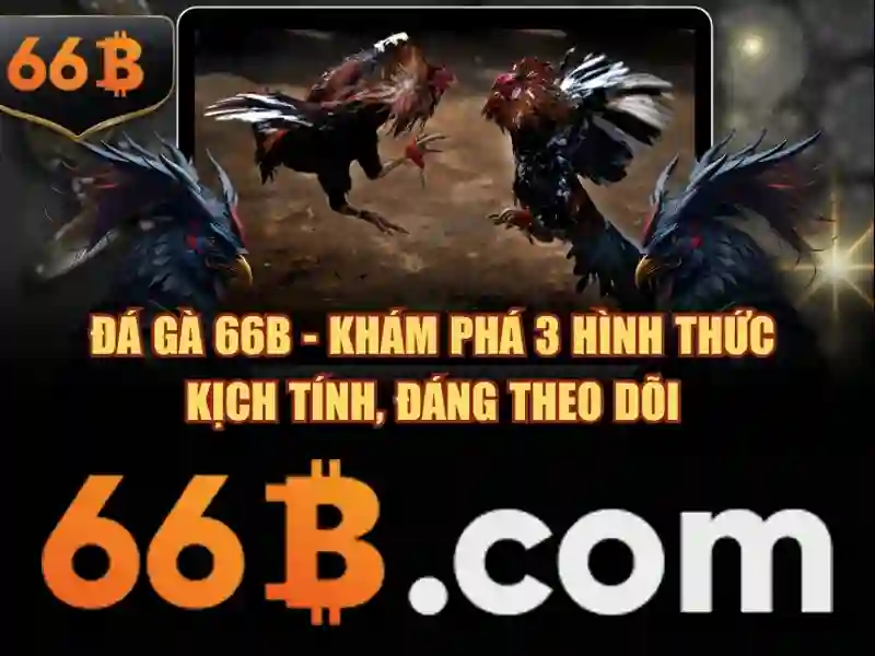 hỗ trợ 66b – tổng quan chủ đề và giá trị cốt lõi