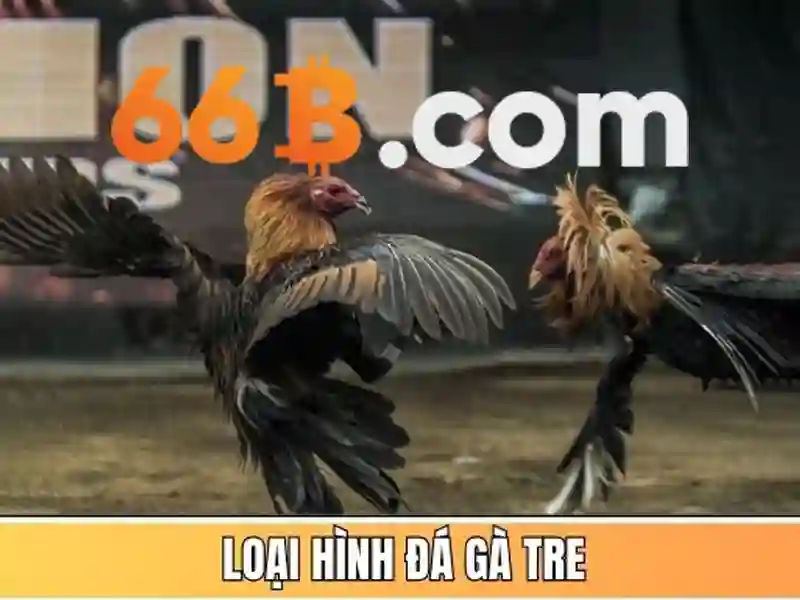 66b: Mô hình ngôn ngữ lớn và tiềm năng của nó