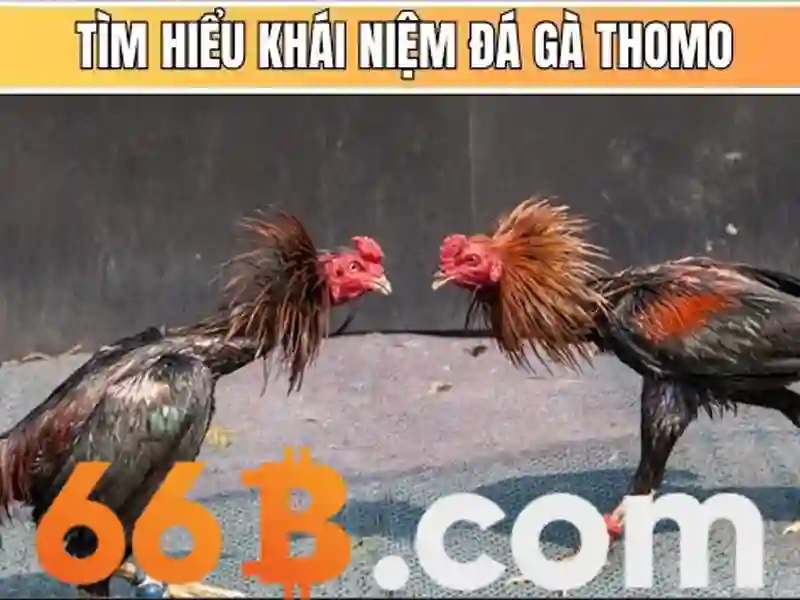 seiko 66b – Trải nghiệm người dùng và phản hồi cộng đồng