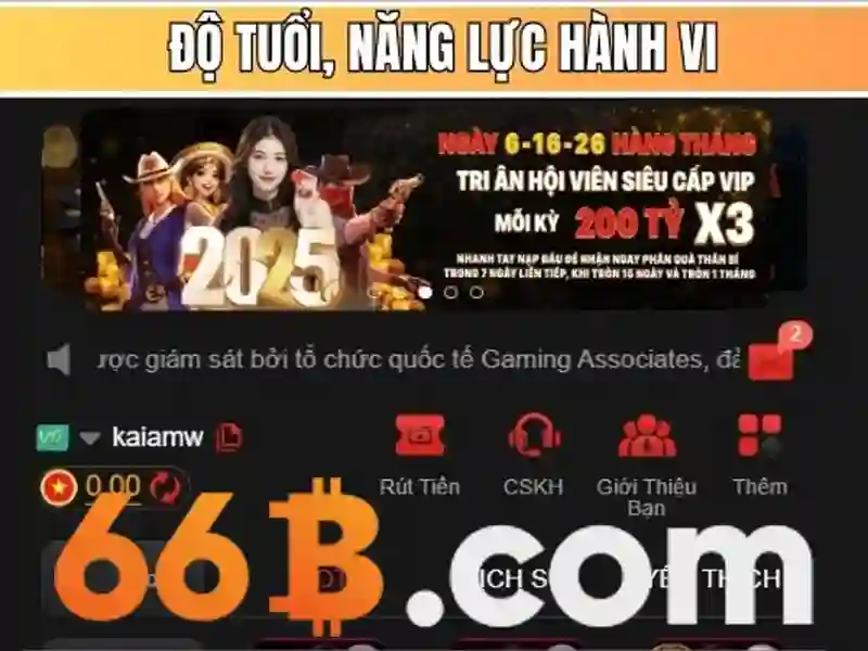 66B là gì và tại sao nó quan trọng