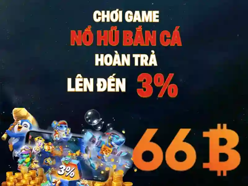 Giới thiệu về 66B