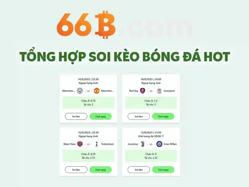 Ưu điểm và hạn chế