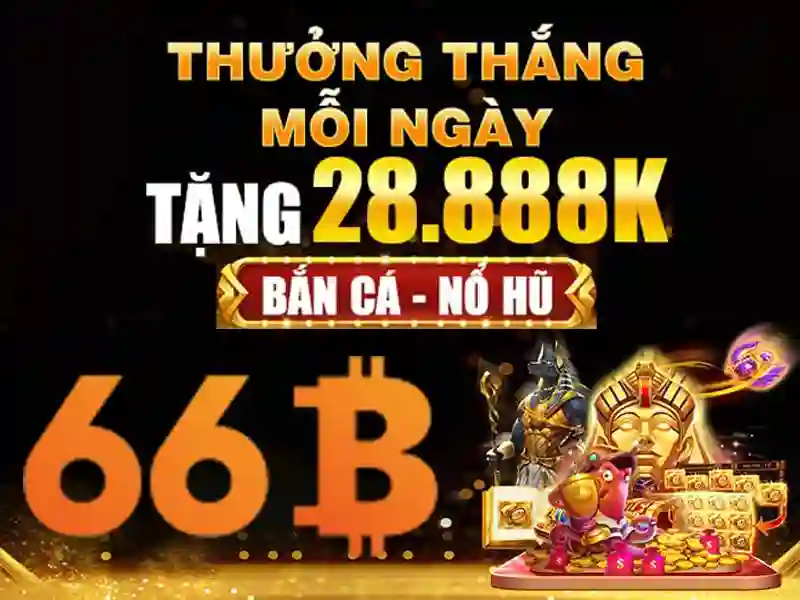 'Trải nghiệm người dùng và phản hồi cộng đồng của ngõ 66b triều khúc'